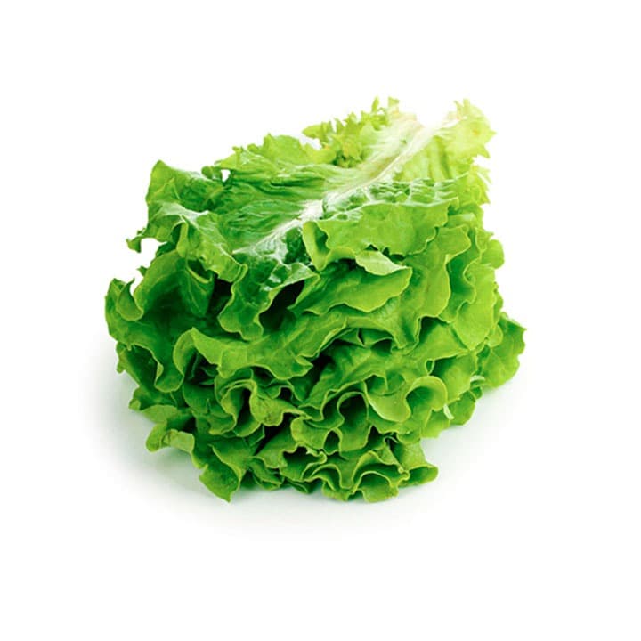 LECHUGA CRIOLLA Kg - 1