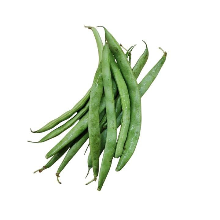VAINITA Kg