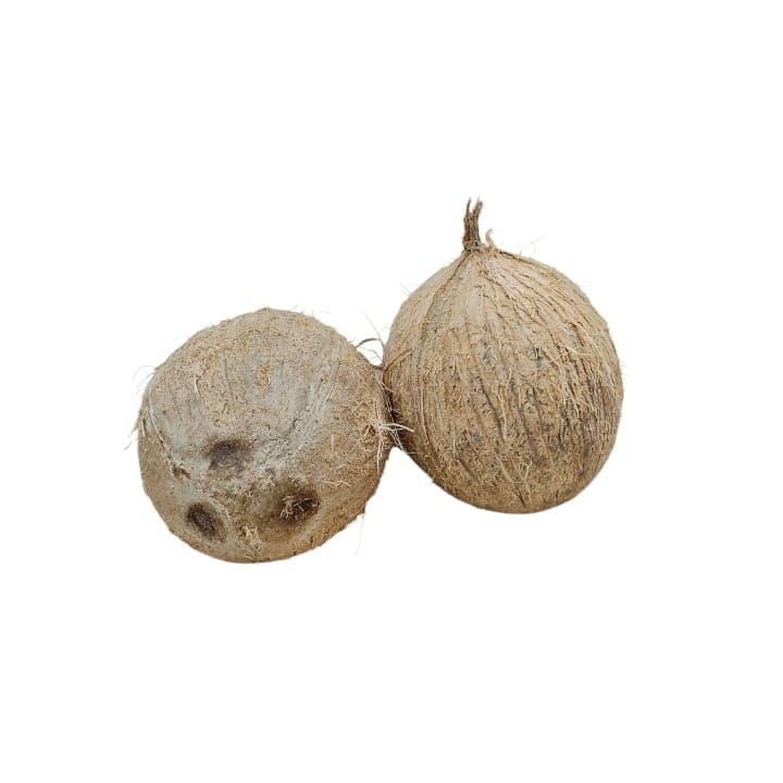 COCO - 1