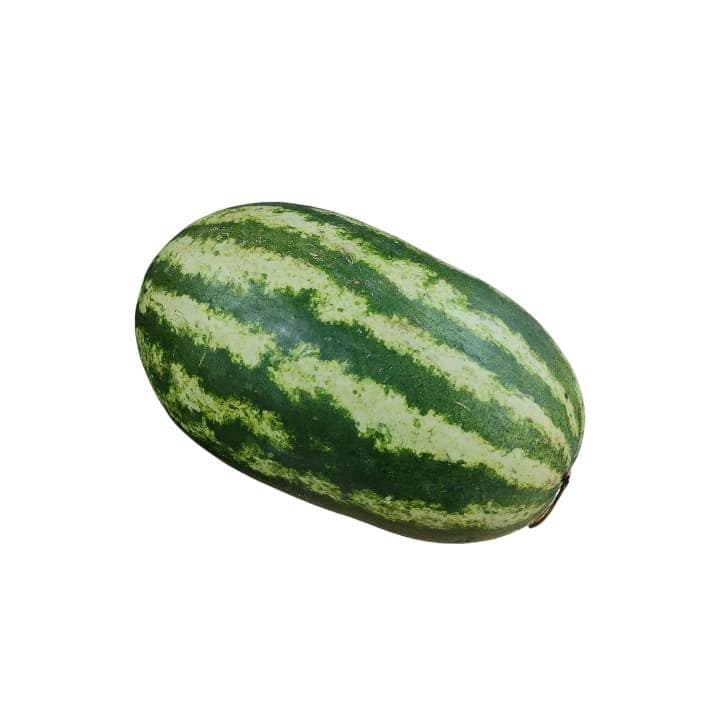 PATILLA Kg