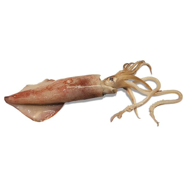 PESCADO CALAMAR - 1