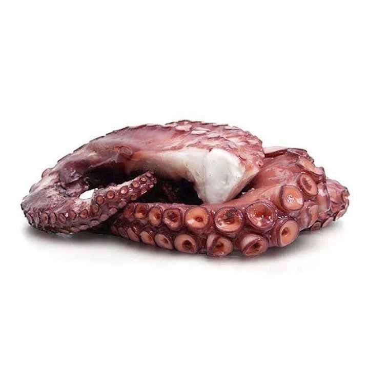 PESCADO TENTACULO