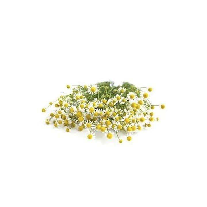 MANZANILLA FRESCA Kg