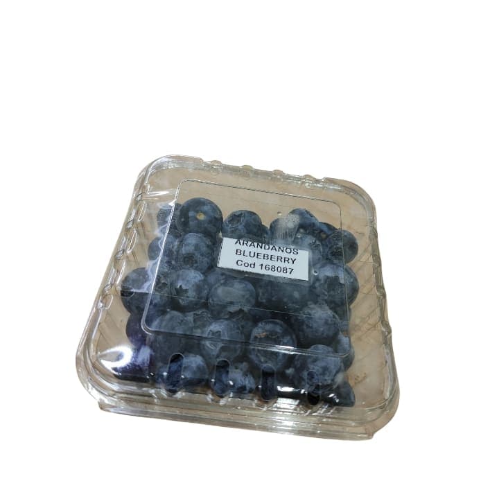 ARANDANO BLUEBERRY 125g - 1