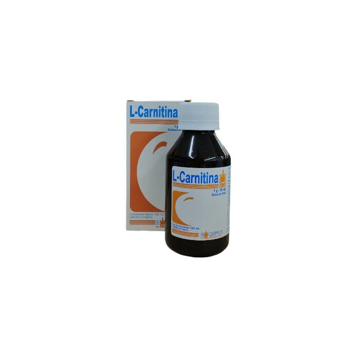 L-CARNITINA SOL 1gX10/120ml BIOQUIMICA